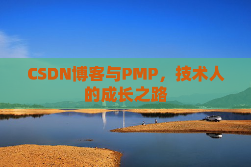 CSDN博客与PMP，技术人的成长之路
